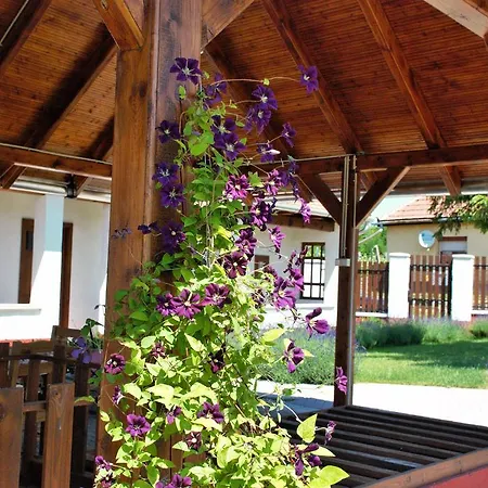 Katica Vendeghaz Guest house