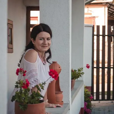 Pensión Katica Tarcal