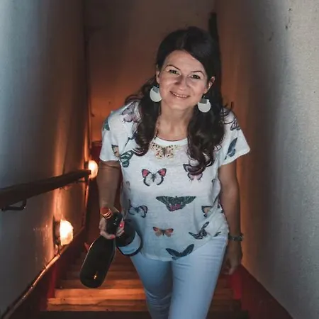 Katica Vendeghaz Guest house Tarcal