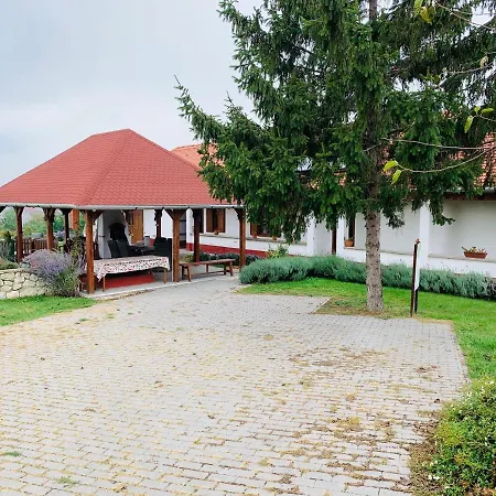 Guest house Katica Vendeghaz *